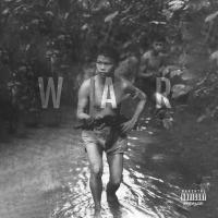 Artwork for War by Dub P