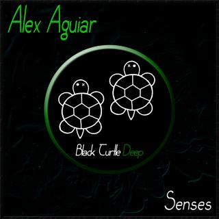 Artwork for Senses