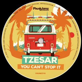 Artwork for You Can't Stop It (Original Mix)