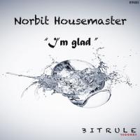 Artwork for I'm Glad (Original HMS Mix) by Norbit Housemaster