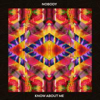 Artwork for Know About Me by Nobody