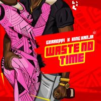 Artwork for Waste No Time by King Kanja