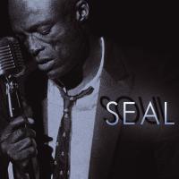 Artwork for Soul by Seal