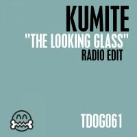 Artwork for The Looking Glass by Kumite