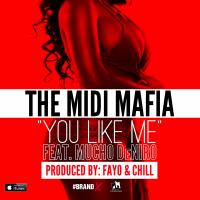 Artwork for You Like Me (feat. Mucho Deniro) by The MIDI Mafia