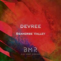 Artwork for Seahorse Valley by DEVREE