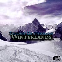 Artwork for Winterlands by Thulane Da Producer