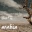 Artwork for Scent of Arabia (Original Mix)