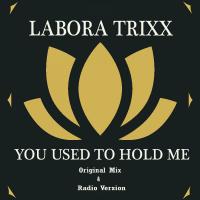 Artwork for You Used To Hold Me by Labora Trixx