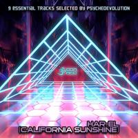 Artwork for 9 Essential Tracks Selected by Psychedevolution by California Sunshine (Har-El)