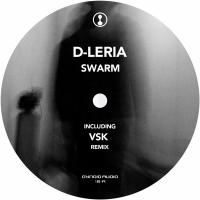 Artwork for Swarm by D-Leria