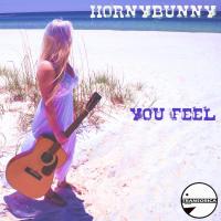 Artwork for You Feel by Hornybunny