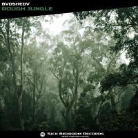 Artwork for Rough Jungle by BVDSHEDV