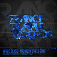 Artwork for Midnight Orchestra by Magic Sense