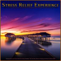 Artwork for Stress Relief Experience: Relaxing Music and Ocean Waves for Anxiety, Meditation, Spa, No More Stress for Sleeping and Music for Stress Relief by Stress Relief Experience