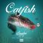 Artwork for Catfish