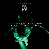 Artwork for Scared To The Fall by Dj Vivona