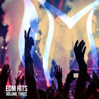 Artwork for EDM Hits, Vol. 3 by Various Artists