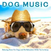 Dog Music Experience