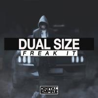 Artwork for Freak It by Dual Size