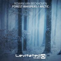 Artwork for Forest Whispers / Arctic by Rowan Van Beckhoven