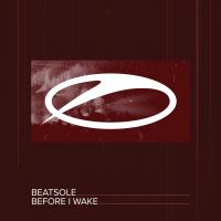 Artwork for Before I Wake by Beatsole