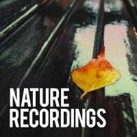 Artwork for Nature Recordings by Sounds Of Nature