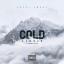 Artwork for Cold Summer (feat. Biv Da Great & Sosa YB)