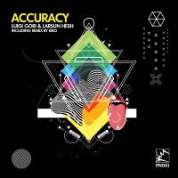 Artwork for Accuracy by Luigi Gori