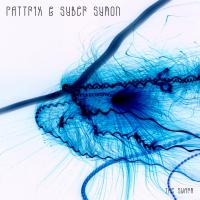 Artwork for The Swarm by Pattrix