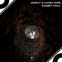 Artwork for Rabbit Hole (Radio Edit) by Zero T