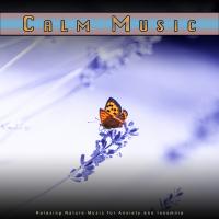 Artwork for Calm Music: Relaxing Nature Music for Anxiety and Insomnia by Music For Anxiety