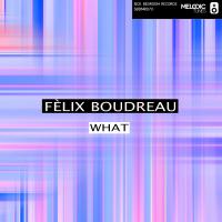 Artwork for What by Felix Boudreau