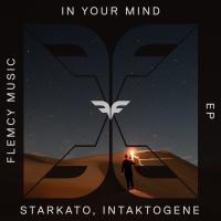 Artwork for In Your Mind by Starkato