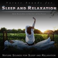 Artwork for Nature Sounds for Sleep and Relaxation: Ambient Relaxing Music for Deep Sleep and Sleep Playlist by Nature Sounds For Sleep and Relaxation