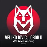 Artwork for We Are Landing by Veljko Jovic