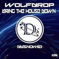 Artwork for Bring The House Down by Wolfdrop