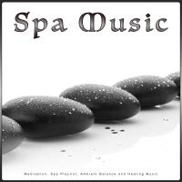 Artwork for Spa Music: Meditation, Spa Playlist, Ambient Balance and Healing Music by Hang Drum Music