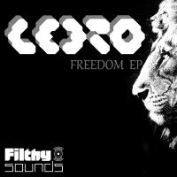 Artwork for Freedom EP by Leero