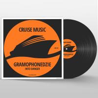 Artwork for Into Danger by Gramophonedzie