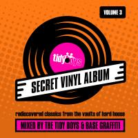 Artwork for Secret Vinyl Album, Vol. 3 by The Tidy Boys