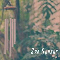 Artwork for Spa Sounds by Massage Tribe