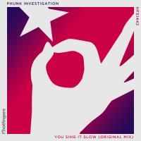 Artwork for You Sing It Slow by Phunk Investigation