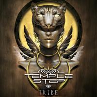 Artwork for Tribe by Temple Step Project