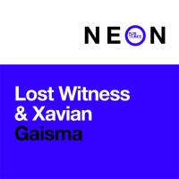 Artwork for Gaisma by Lost Witness