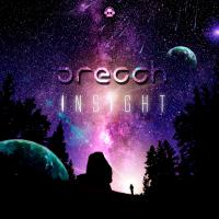 Artwork for Insight by Orecch