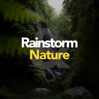 Artwork for Rainstorm & Nature by Sounds Of Nature