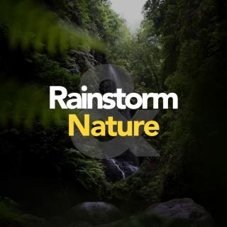 Artwork for Rainstorm (Original Mix)