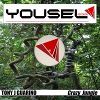 Artwork for Crazy Jungle by Tony J Guarino