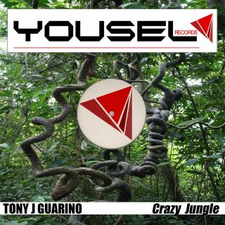 Artwork for Crazy Jungle (Original Mix)